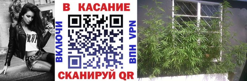 Как найти наркотики Ильский АМФ Альфа ПВП МЕФ Кокаин Галлюциногенные грибы Канабис