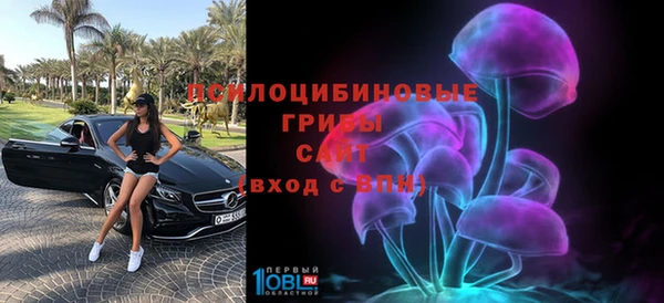 PSILOCYBIN Абинск