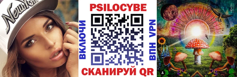 где купить   Ильский  Галлюциногенные грибы Magic Shrooms 